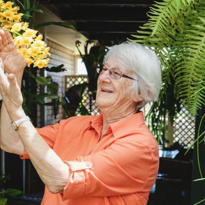 Lively City vs. Coastal Breeze: Comparing Retirement Living in Nundah vs Manly
